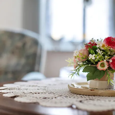 Ardoma's Freiburg im Breisgau